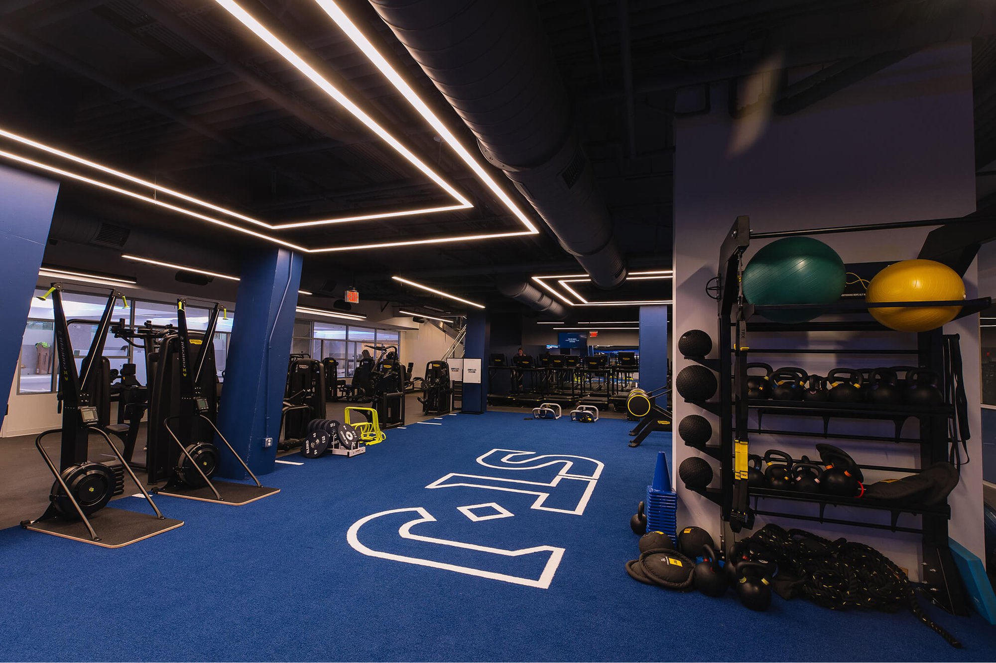 performance turf with weight racks